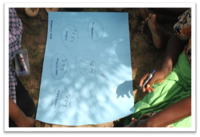 participatory action learning 1
